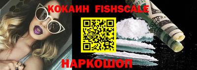 стаф Донецк