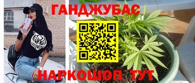 стаф Донецк